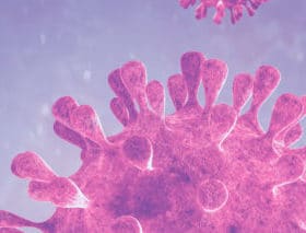 Hifas da Terra recherche des biomolécules anti-COVID-19 dans le cadre du projet "DIGITAL BIO CoV".