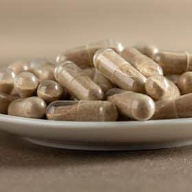 Full Spectrum, Biomasse, Extraction double... Comprendre la terminologie de la Mycothérapie