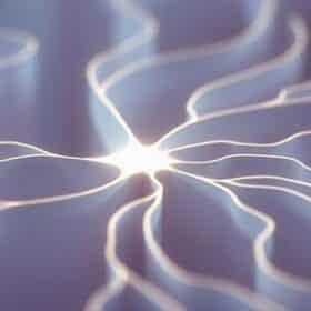 Érinacines : Approches et Perspectives dans la Neuroprotection