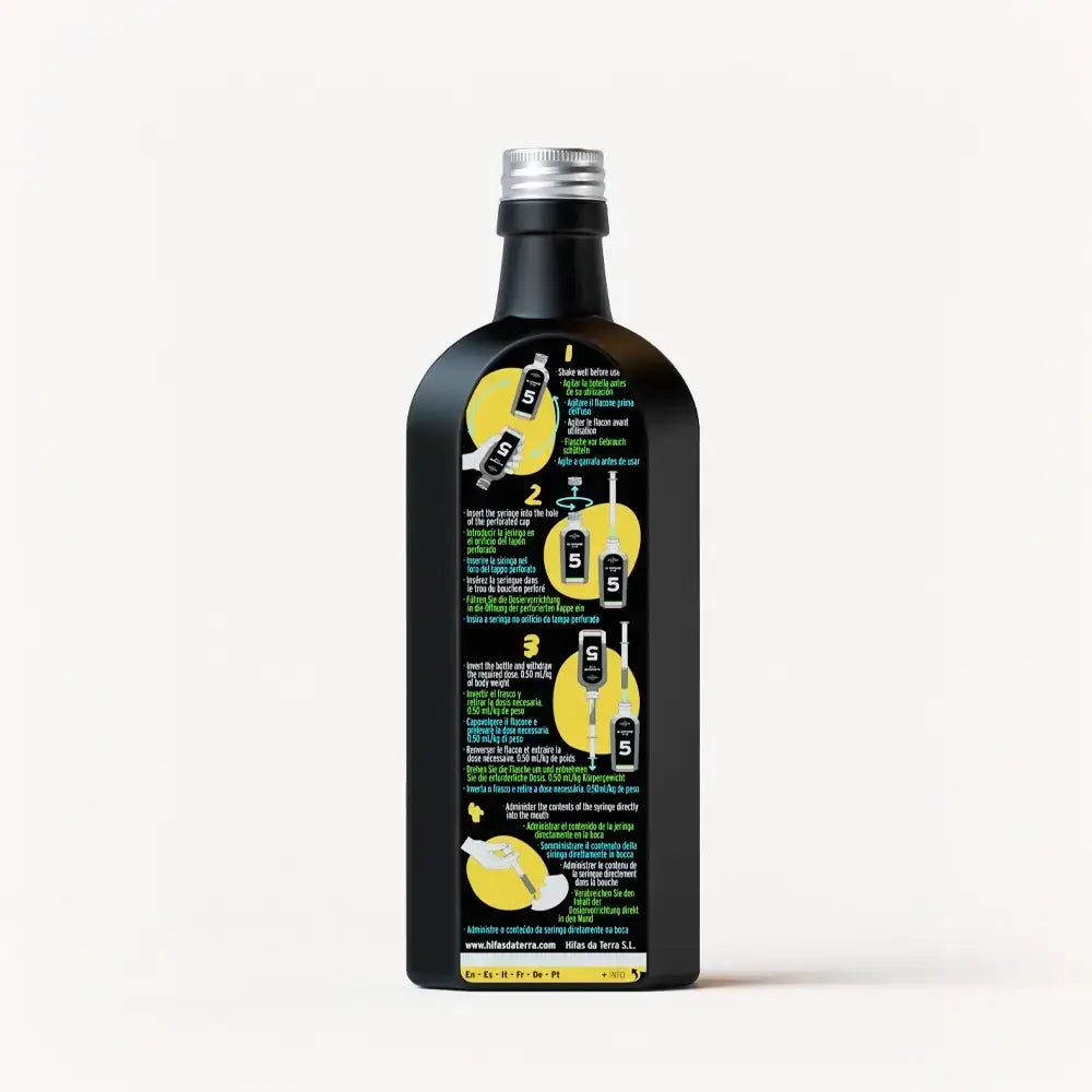 Dr. Immune Five Syrup (Reishi, Agaricus, Oyster, Chaga, Shiitake)