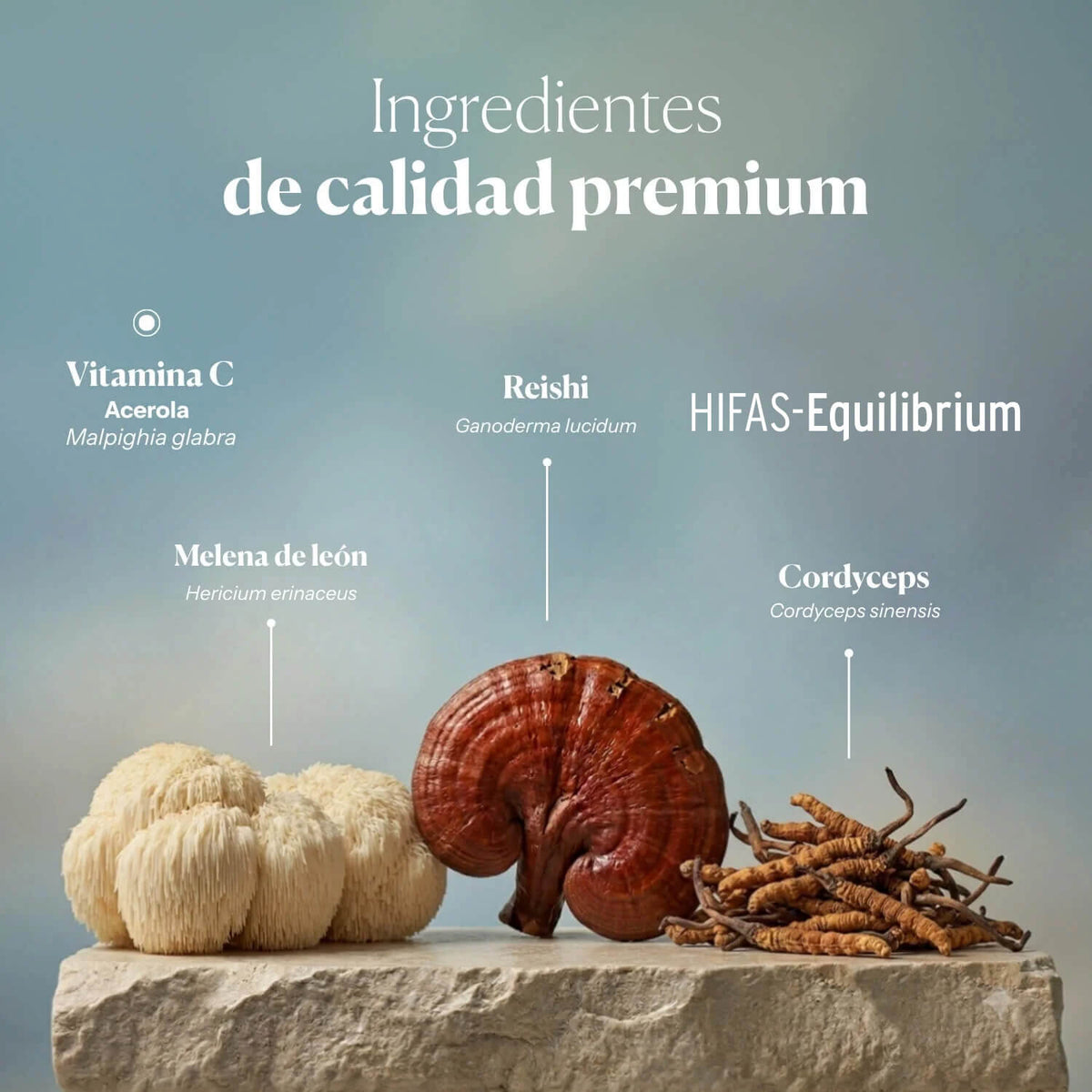 DUO EQUILIBRIO: Equilibrium + Microbiota