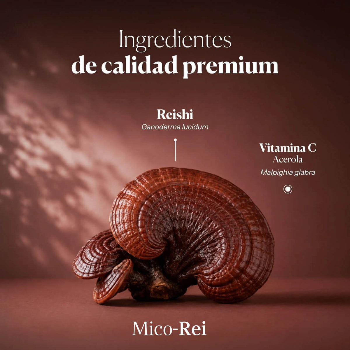 DUO ESSENZIALI: Mico-Rei + Mico-Leo