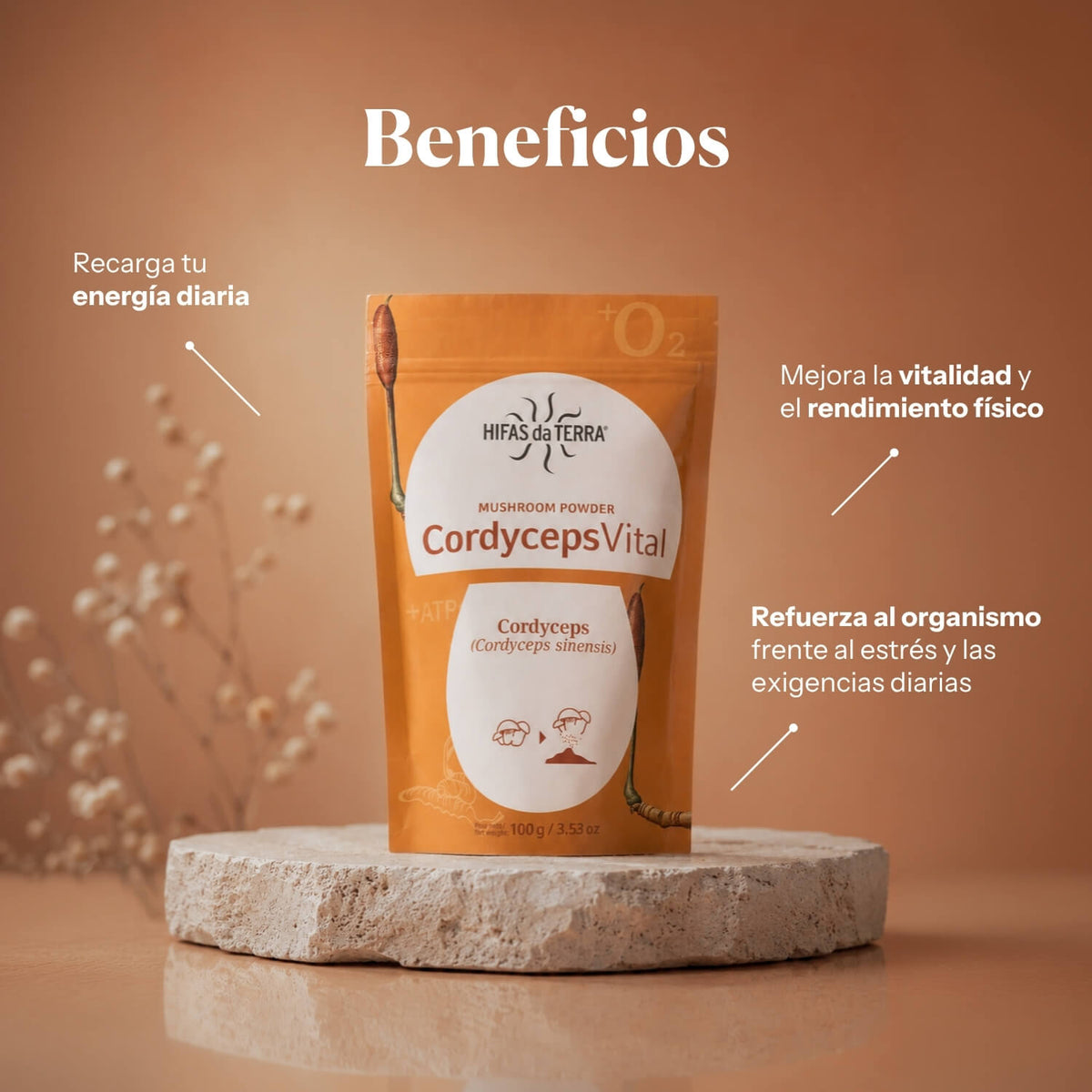 Beneficios de Cordyceps Vital: polvo 100% Cordyceps | Hifas da Terra