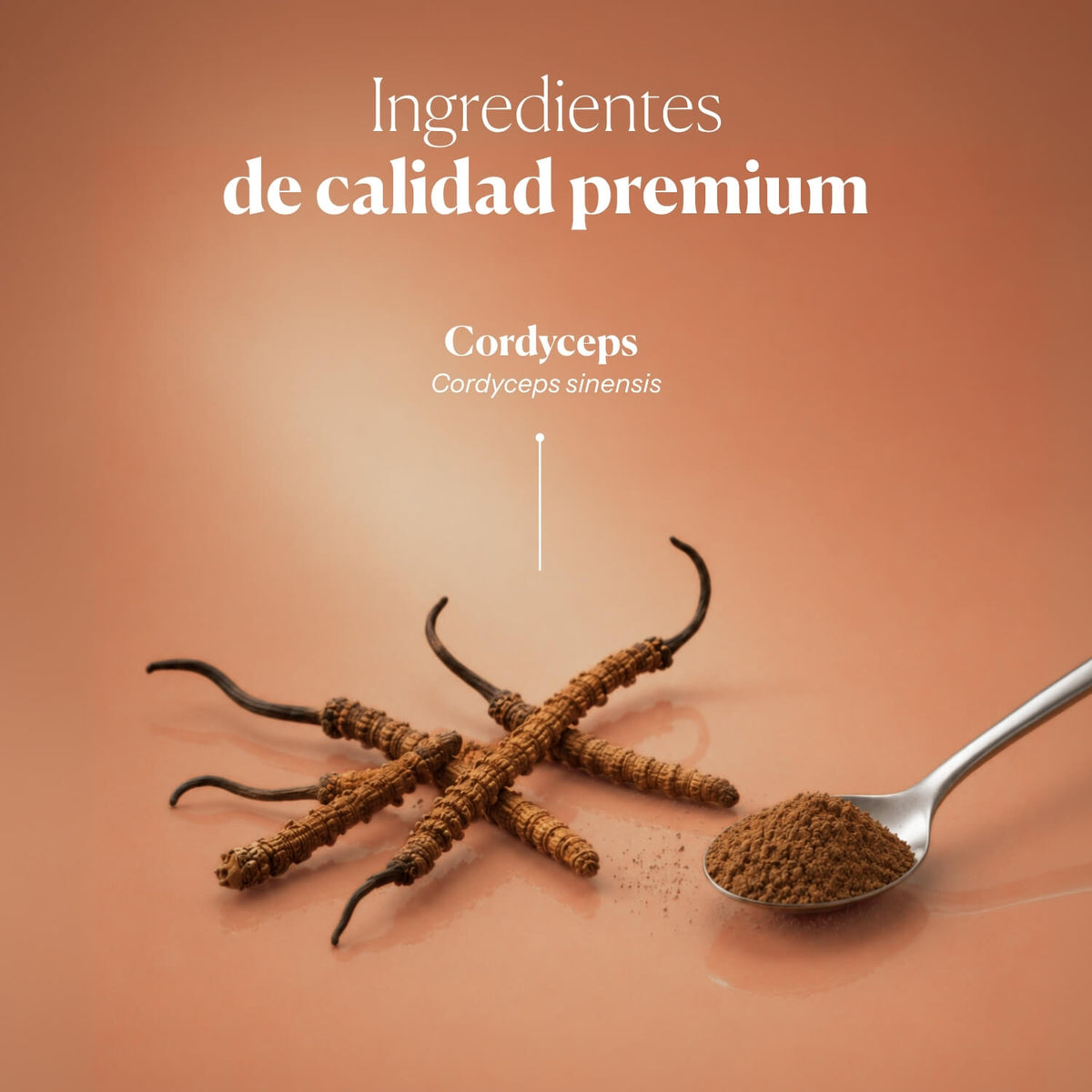 Composición e ingredientes de Cordyceps Vital | Hifas da Terra