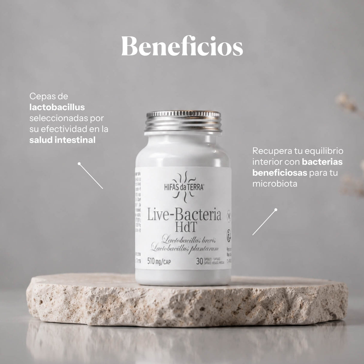 Live Bacteria (Probiotici)