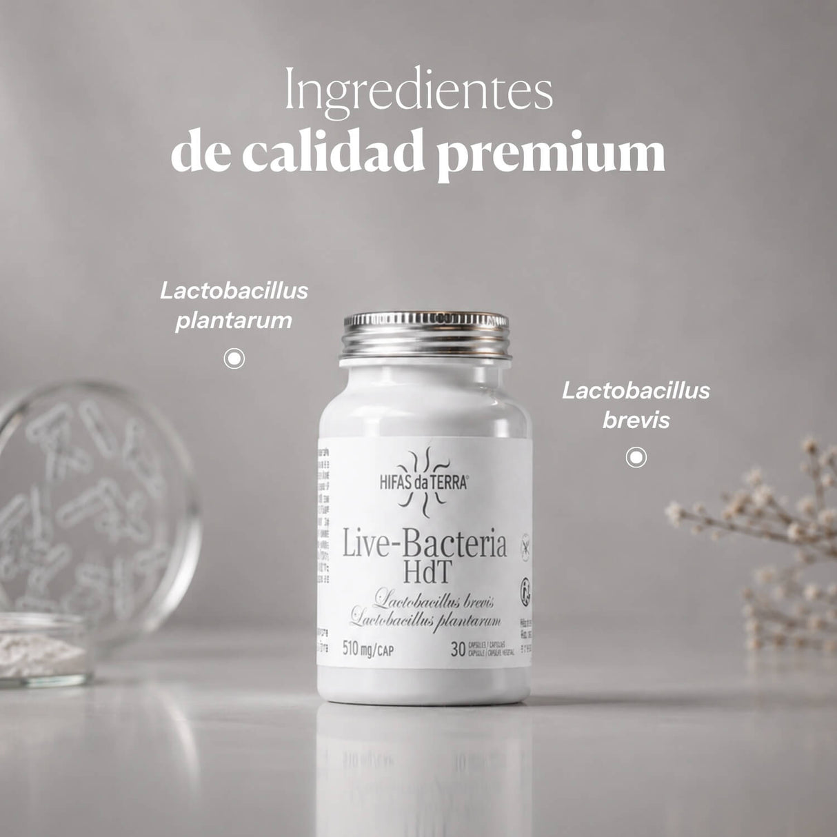 Live Bacteria (Probiotici)