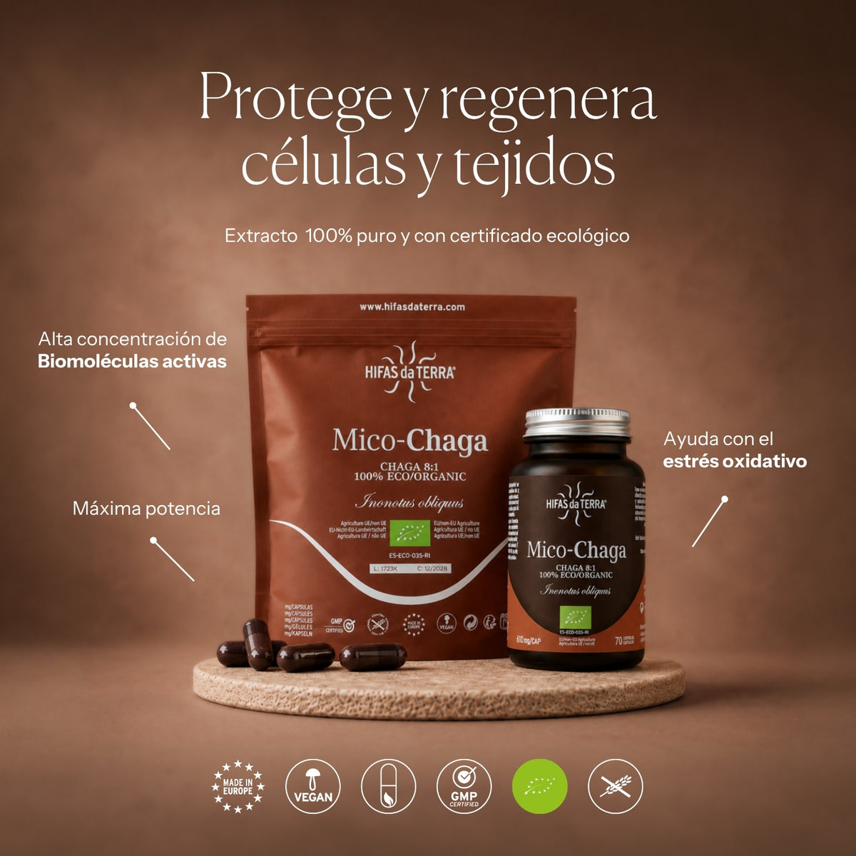 Modalità d'uso di Mico-Chaga | Hifas da Terra