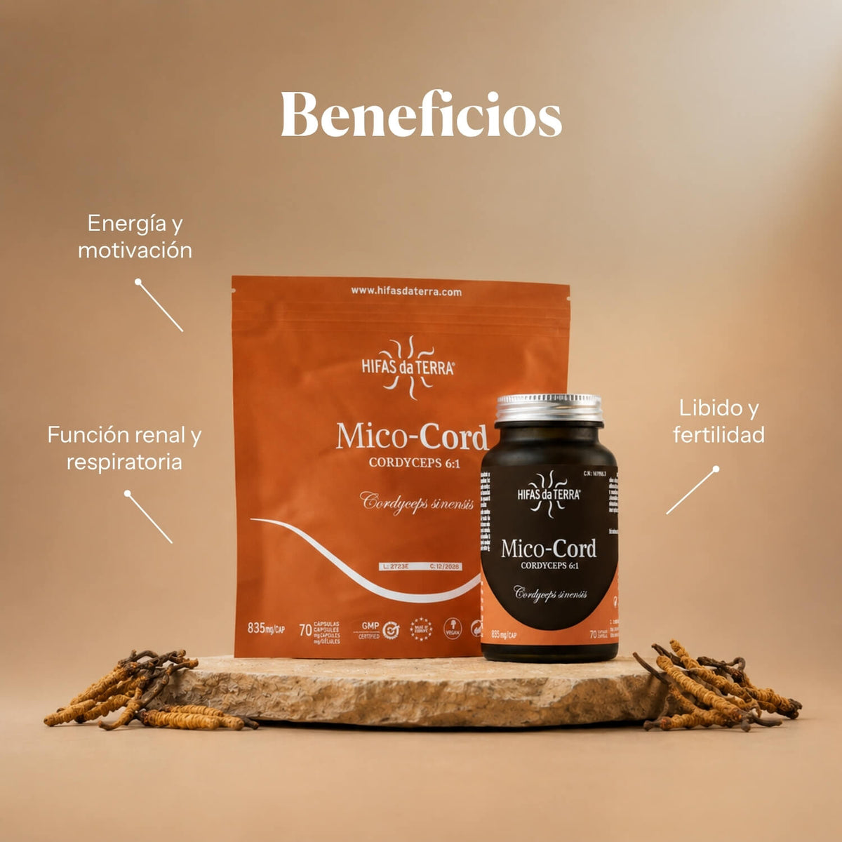 Beneficios de Mico-Cord: extracto puro de Cordyceps sinensis y vitamina C | Hifas da Terra