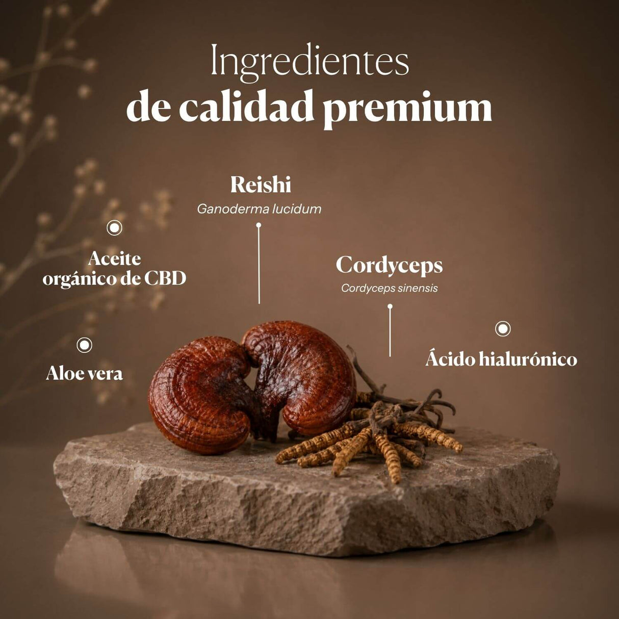 Mico-Repair Serum (Reishi and Cordyceps for Skin)