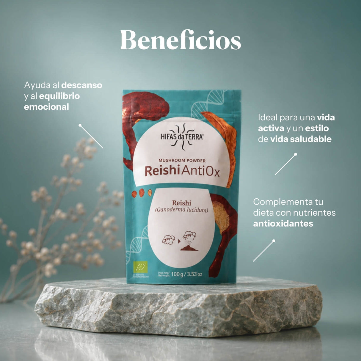 Reishi AntiOx Powder Superfood (Organic Reishi)