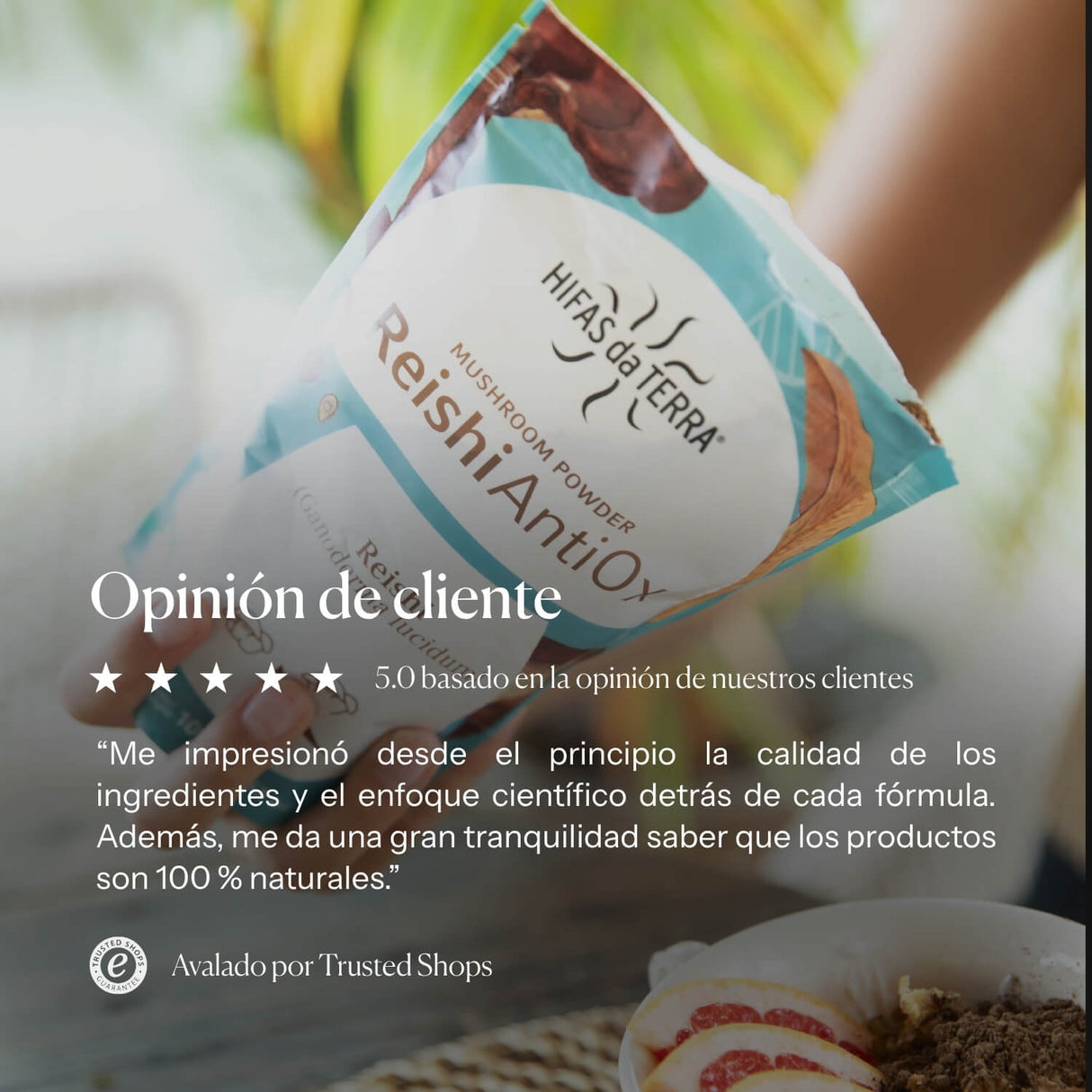 Reishi AntiOx Powder Superfood (Organic Reishi)