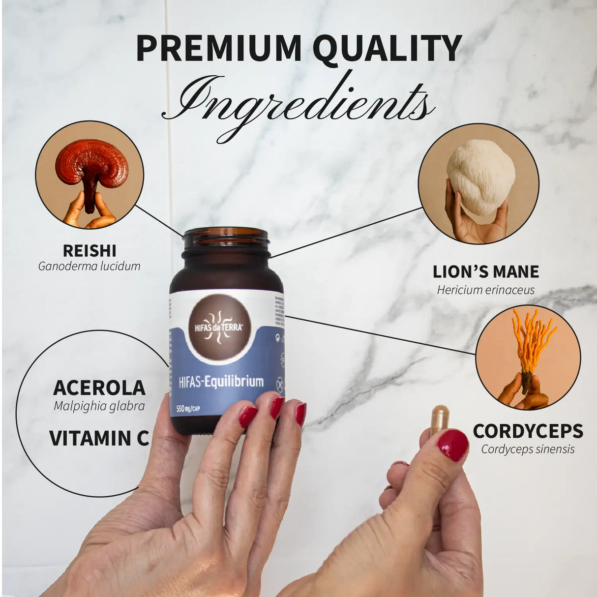 HIFAS-Equilibrium (Reishi, Lion’s Mane, Cordyceps) capsules