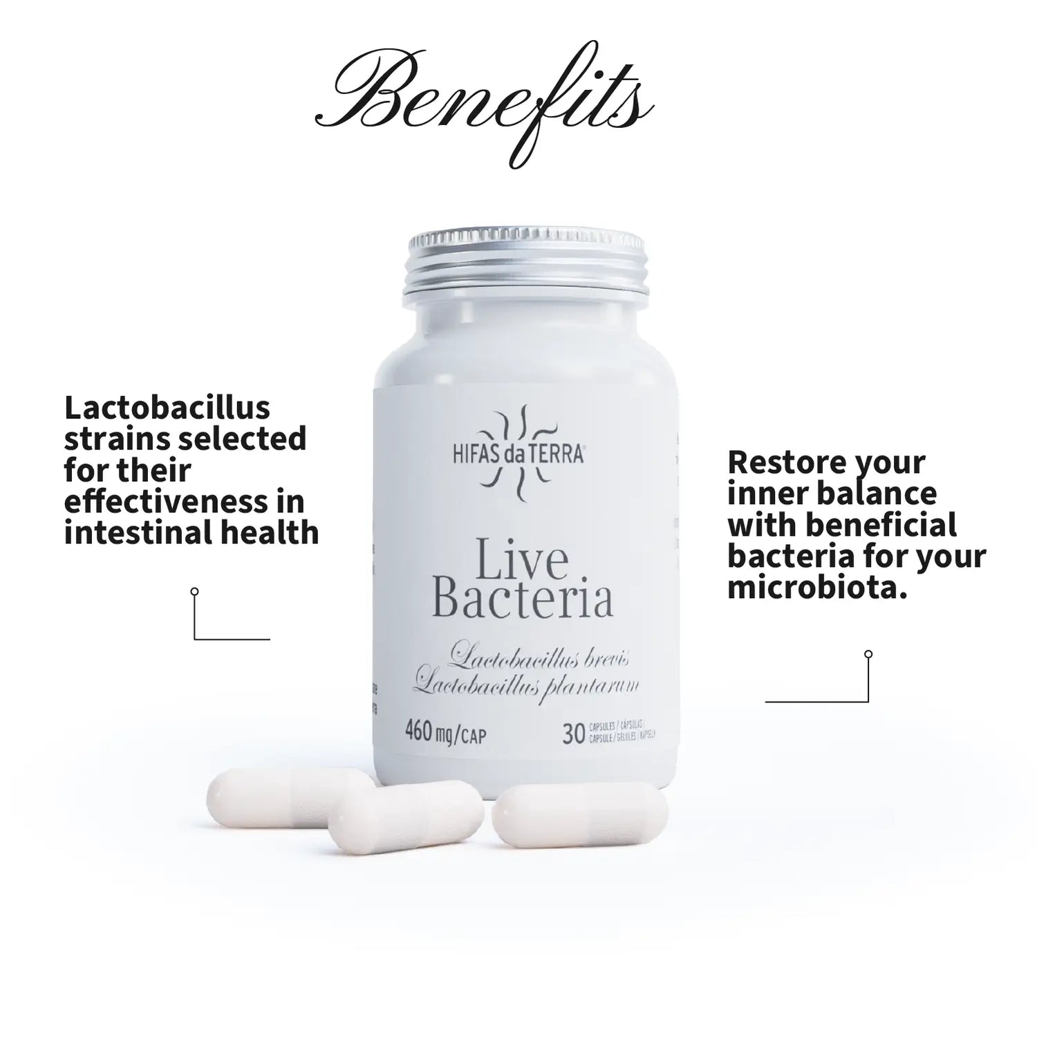 Live Bacteria (Probiotici)