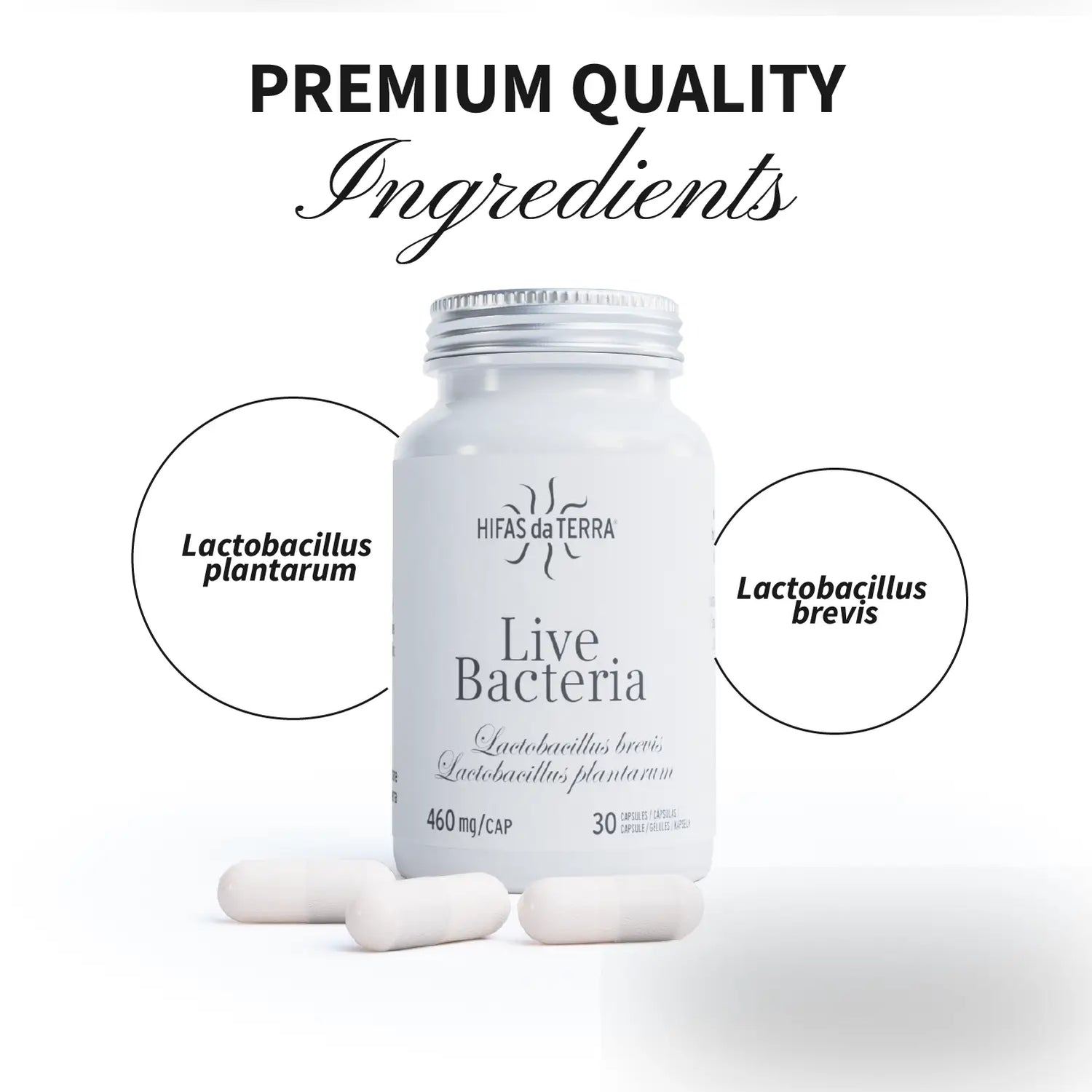 Live Bacteria (Probiotici)