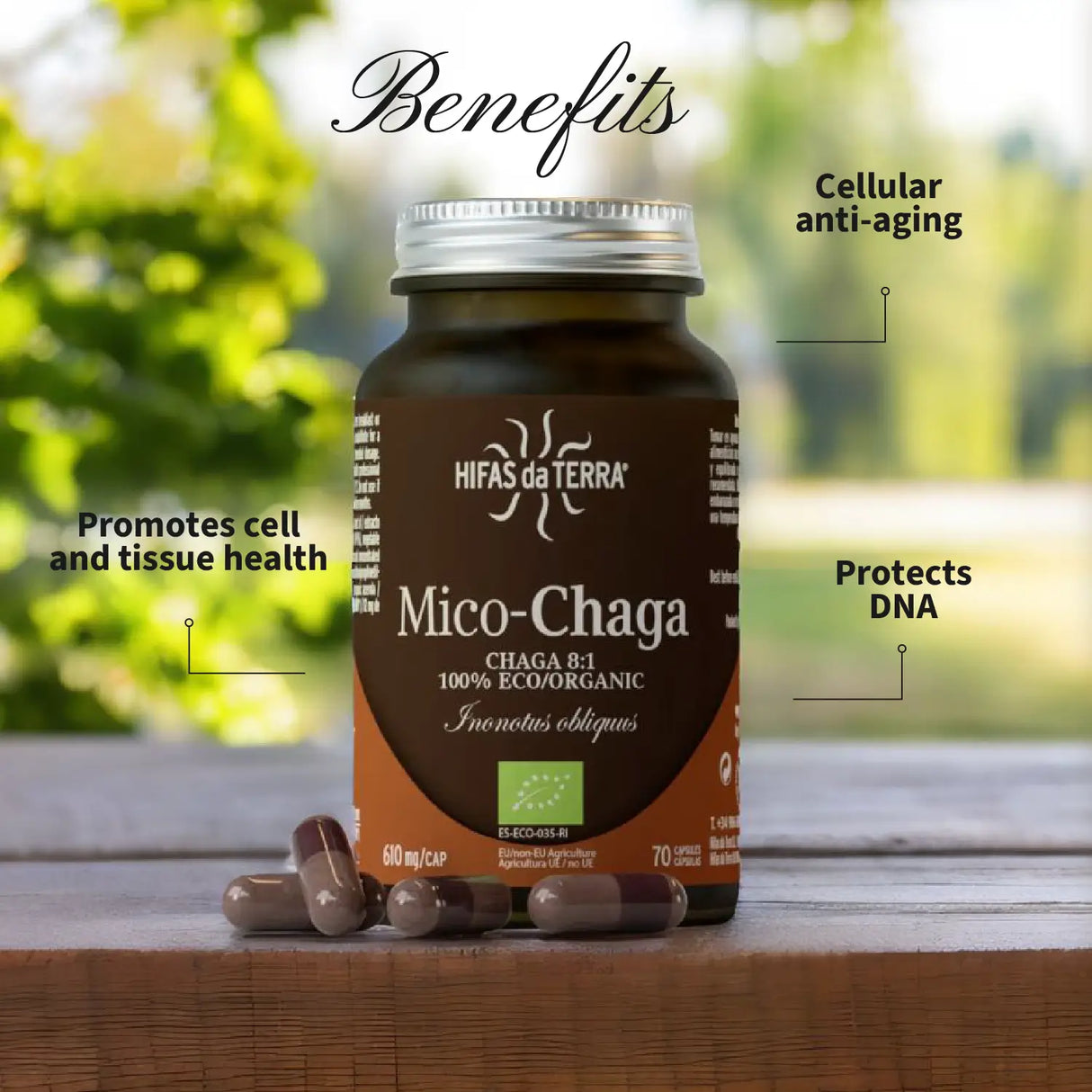 Mico-Chaga
