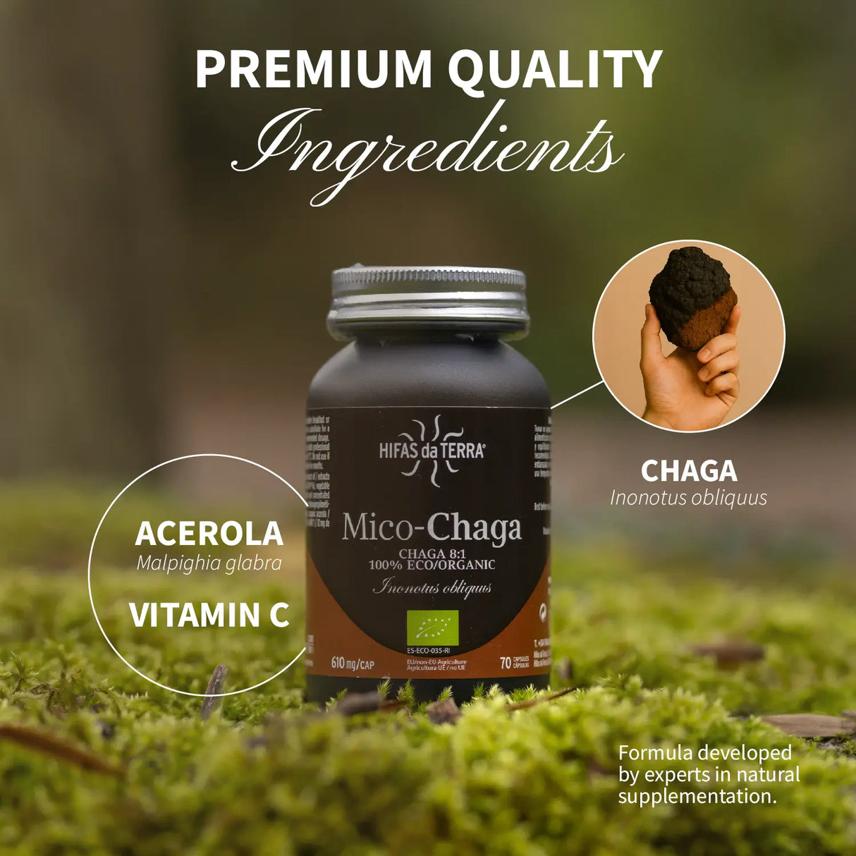Mico-Chaga