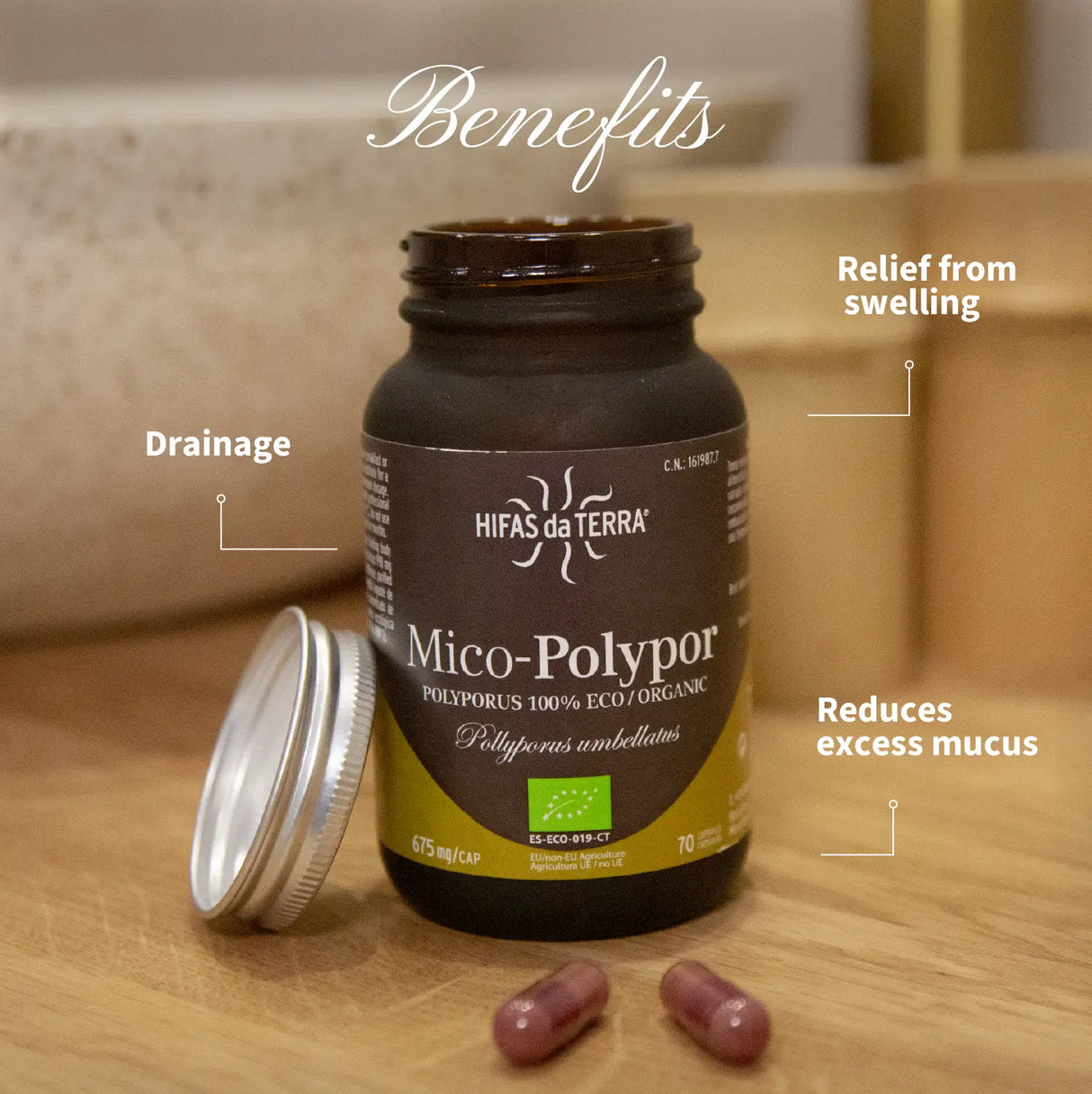 Mico Polypor (Polyporus extract) capsules