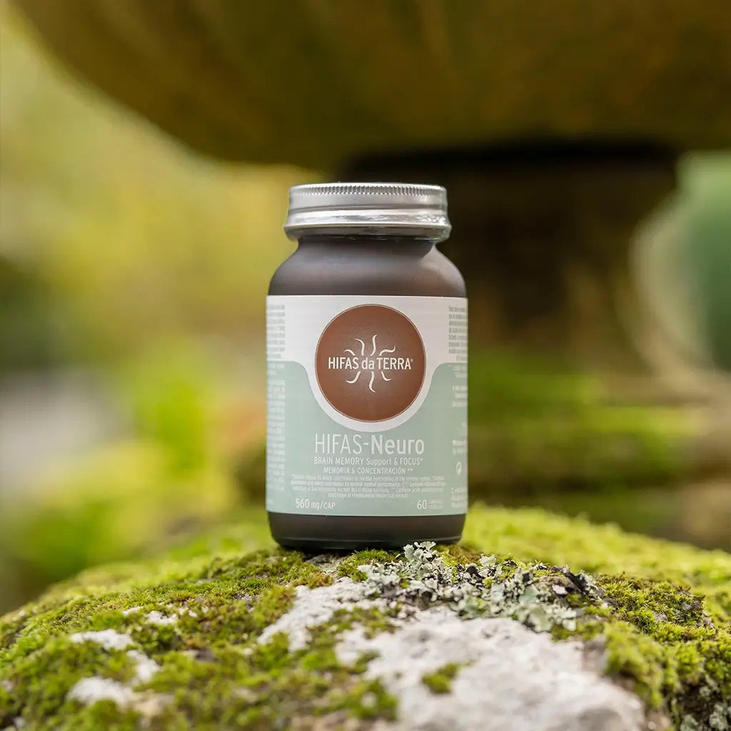 Hifas-Neuro