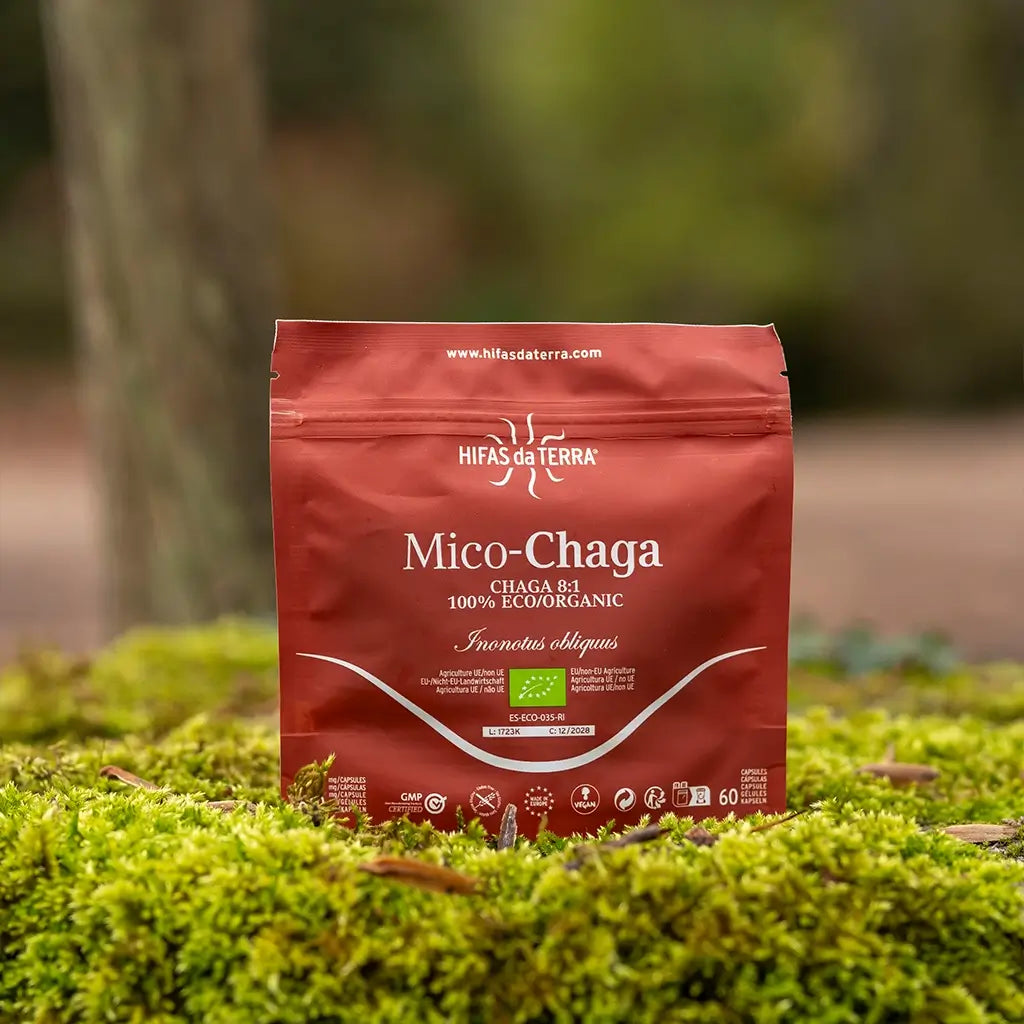 Mico-Chaga