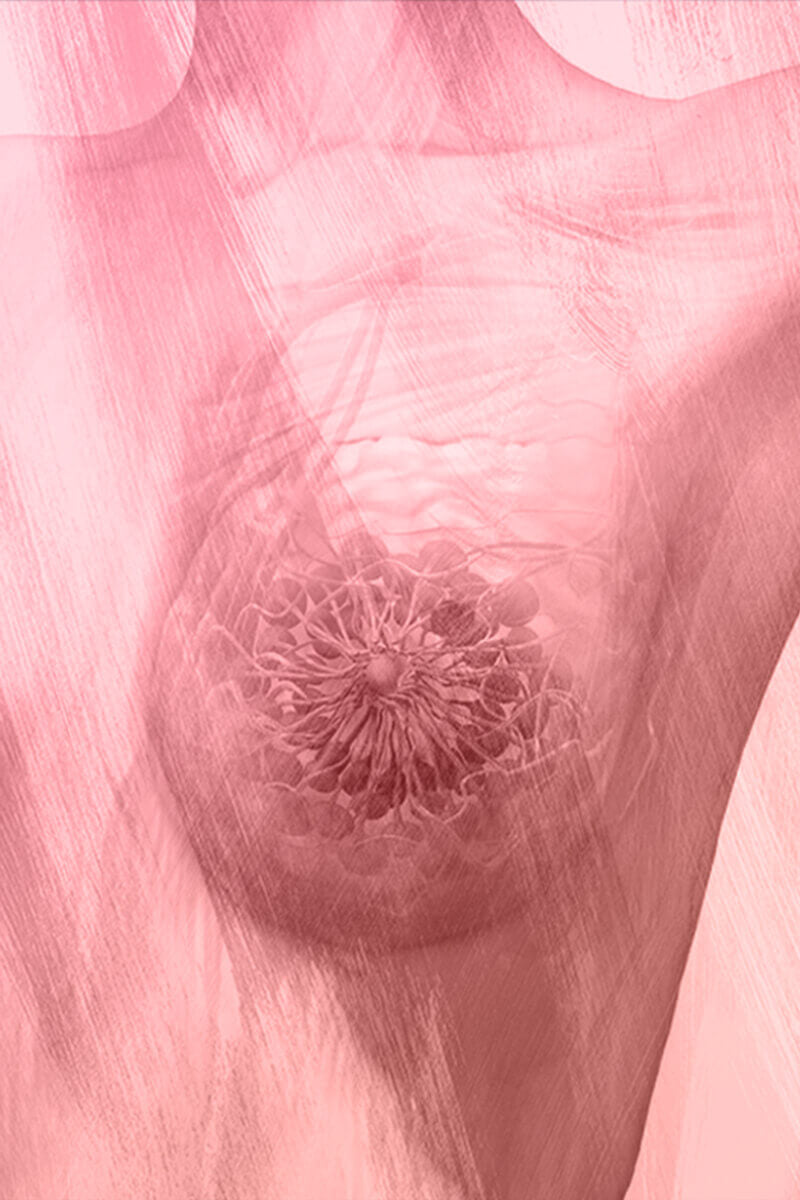 Microimmunomama