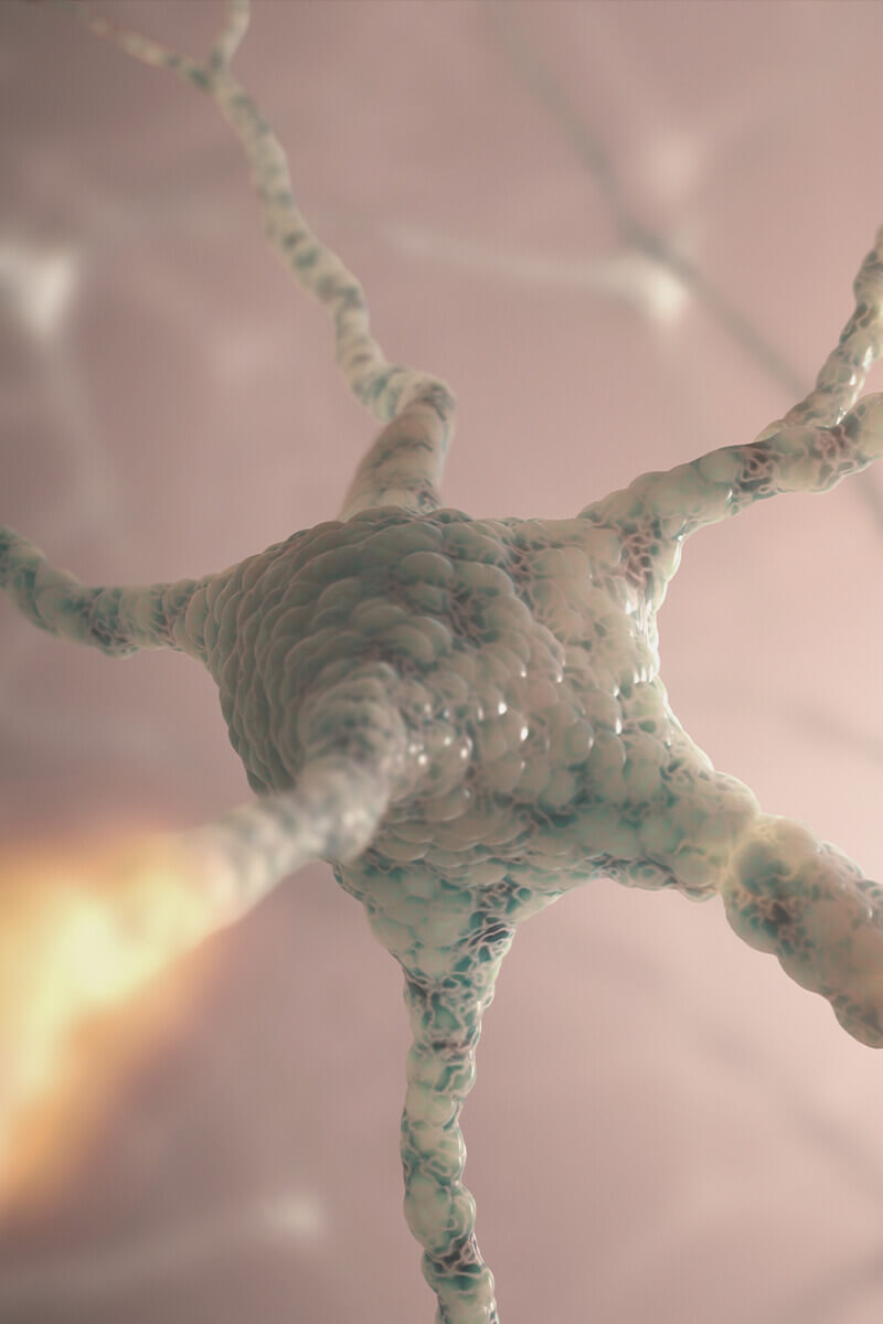 Neurofood