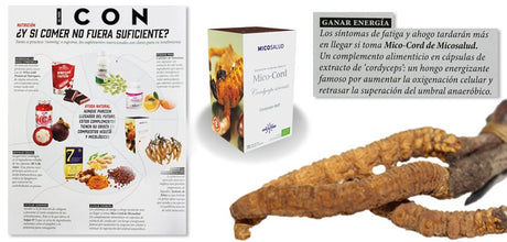 Cordyceps, el hongo energizante que ayuda a sumar energía, en ICON