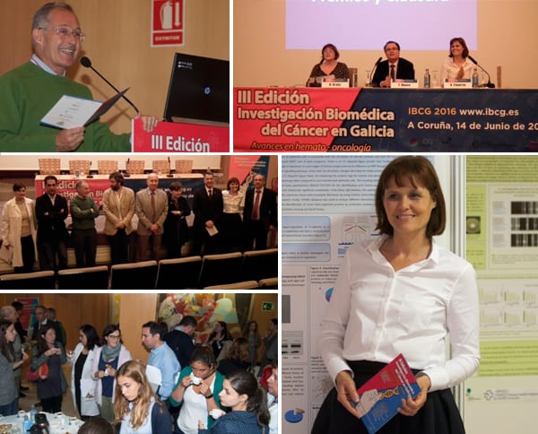 Los extractos de hongos cultivados por HdT son capaces de reducir la actividad y el crecimiento de células de cáncer de colon