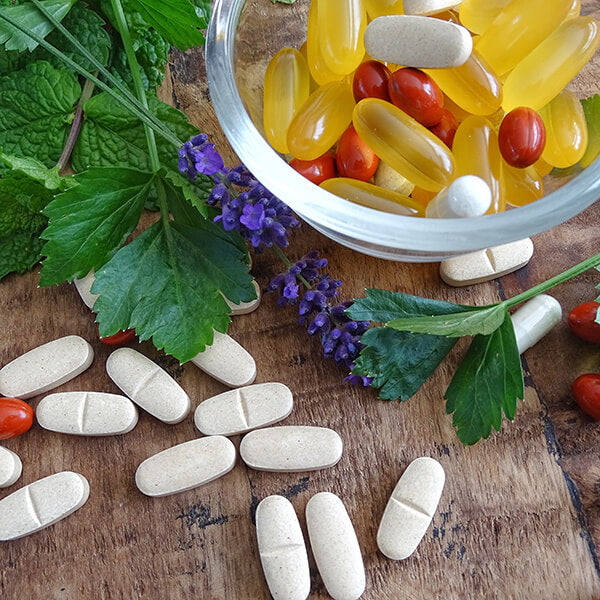 Guía para elegir el mejor suplemento a base de hongos