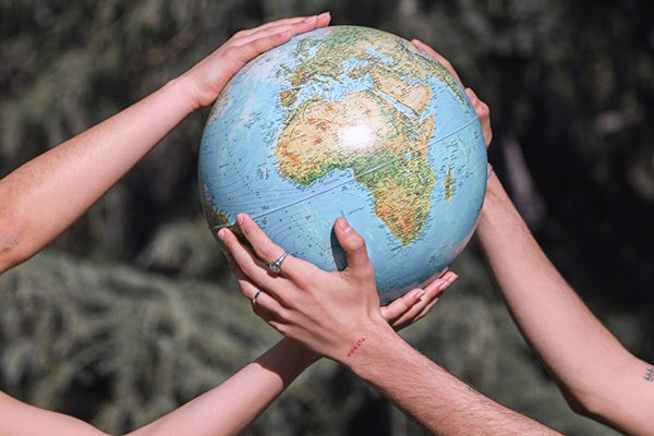 Reducimos nuestra huella de carbono: sostenibilidad que se mide, compromiso que se demuestra