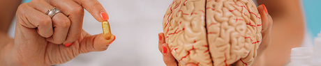 Nootrópicos, ¿la «droga inteligente» que potencia tu cerebro?