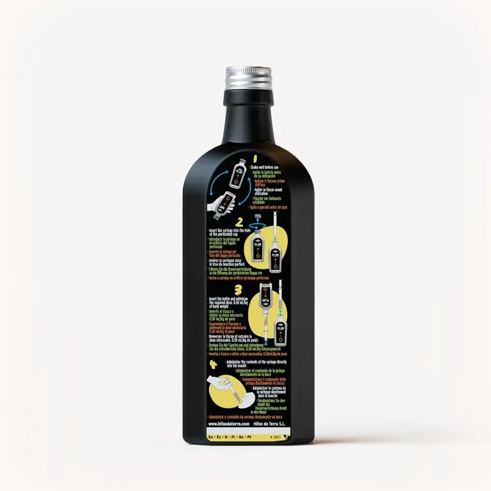 Sciroppo Dr. GB (Gut & Brain) con Reishi, Mane da León, Prebiotici e Vitamine C e A