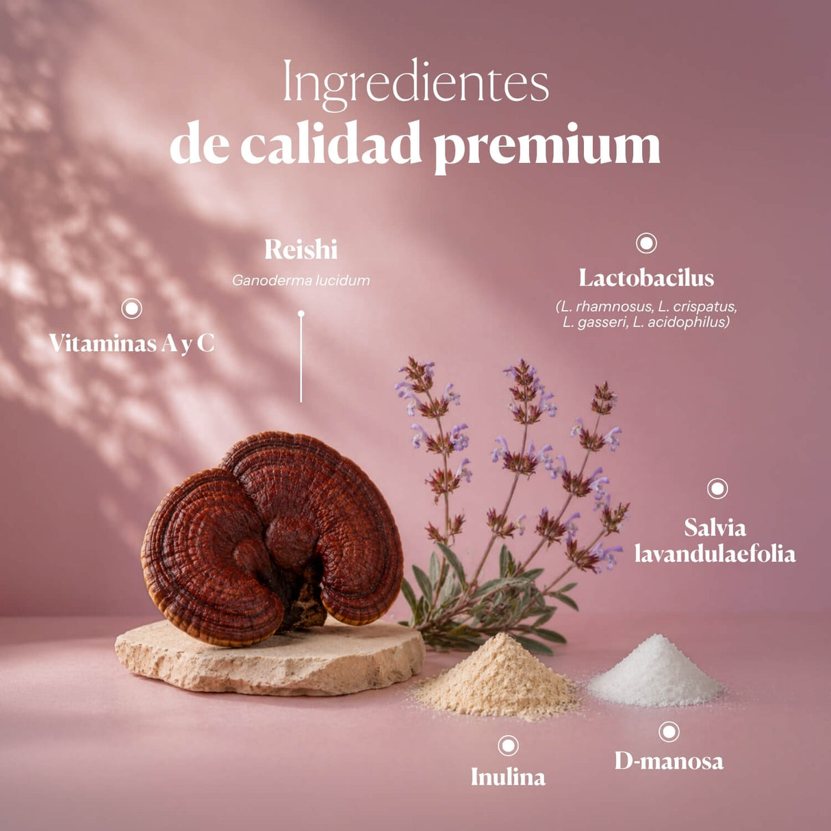Vaginal Prebiotic and Probiotic Hifas-INTIMA
