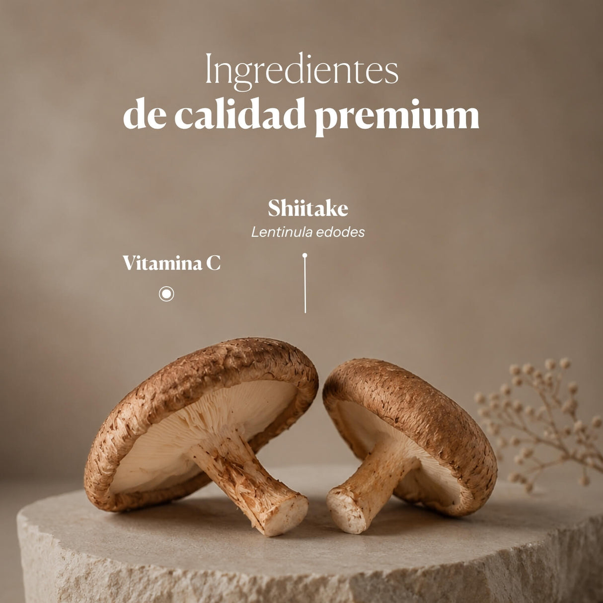 HIFAS-Lentinan Shiitake Extract (Lentizumib) Drops