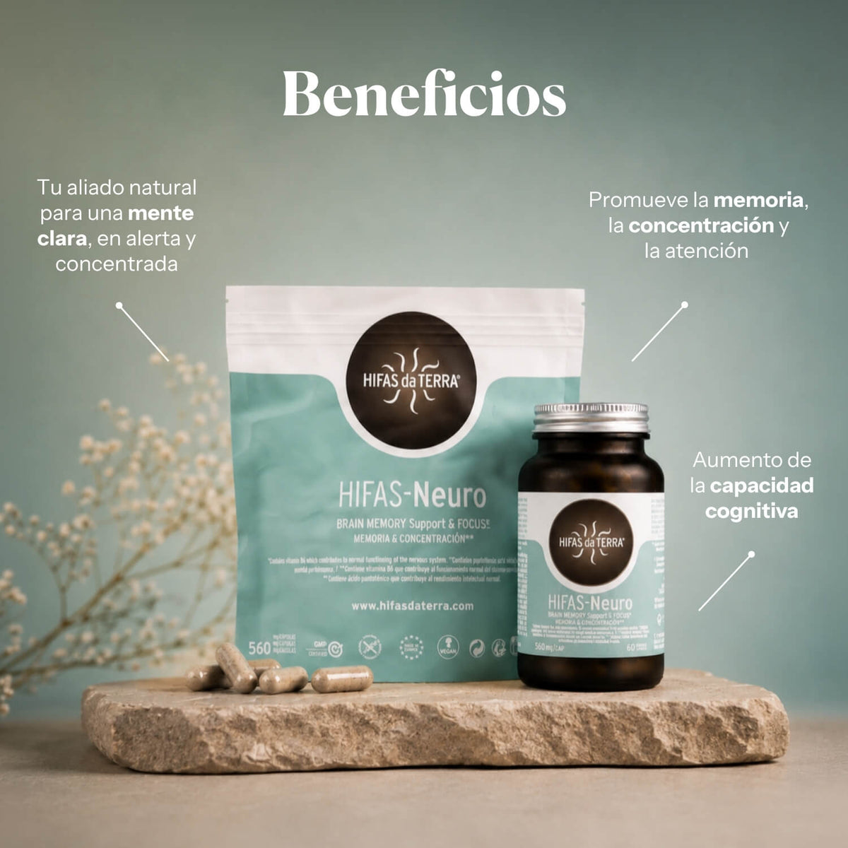 Hifas-Neuro (Lion's Mane and Chaga extract) capsules
