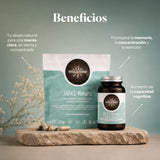 Hifas-Neuro (Lion's Mane and Chaga extract) capsules
