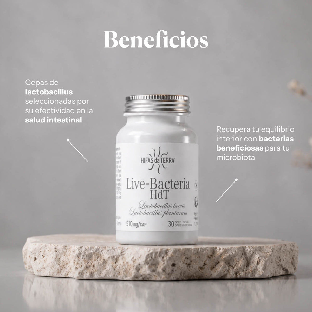 Live Bacteria (Probiotici)
