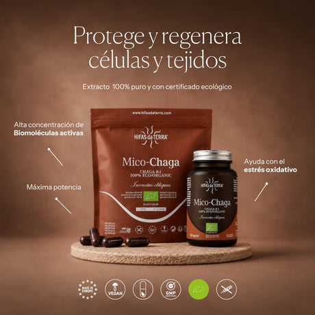 Mico-Chaga