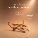 Composición e ingredientes de Mico-Cord | Hifas da Terra