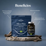 Mico Five (Chaga, Reishi, Maitake, Shiitake, Sun mushroom) Capsules