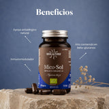 Beneficios de Mico-Sol: extracto de Agaricus blazei Murill (Champiñón del sol) | Hifas da Terra