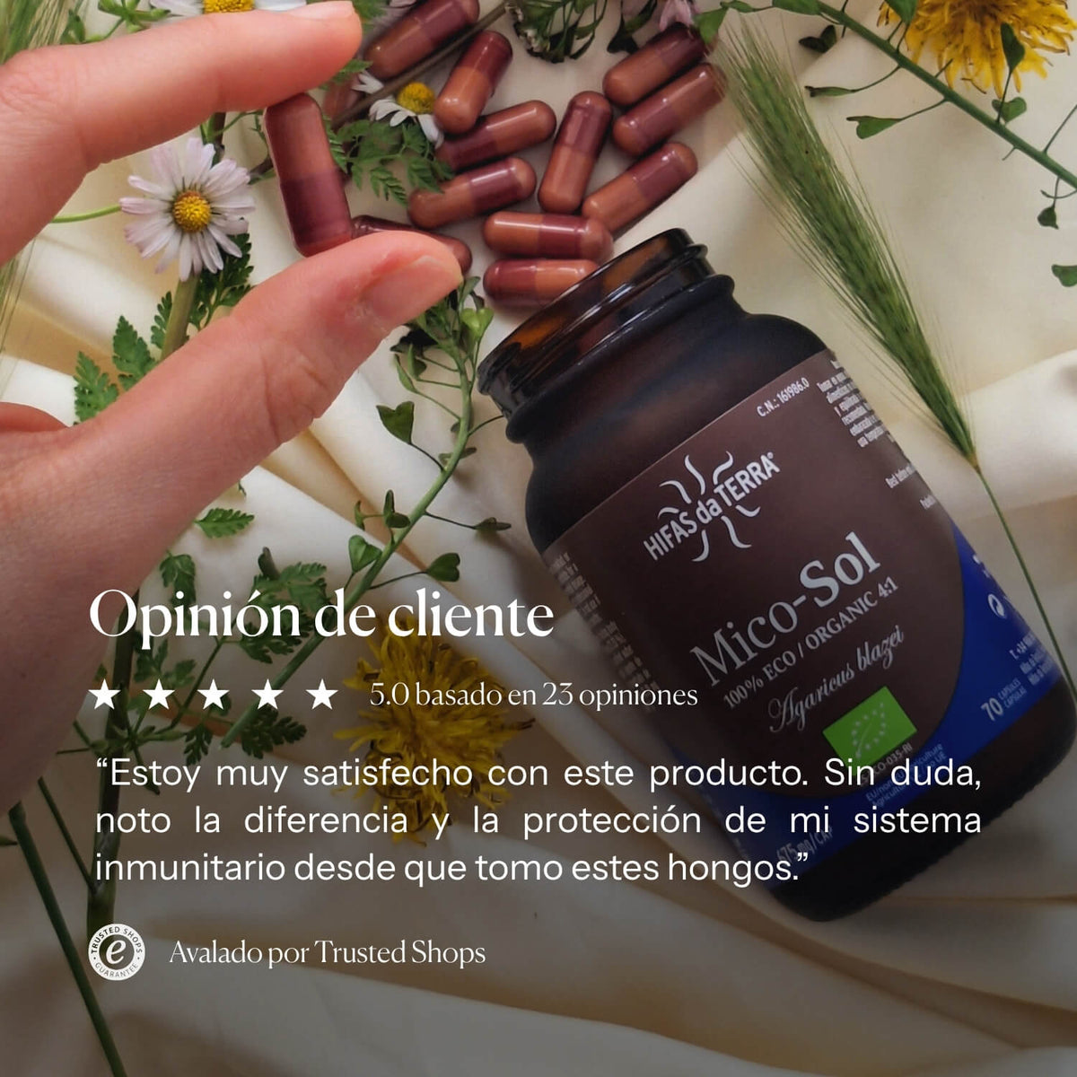Información nutricional de Mico-Sol | Hifas da Terra