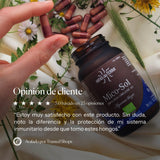 Información nutricional de Mico-Sol | Hifas da Terra