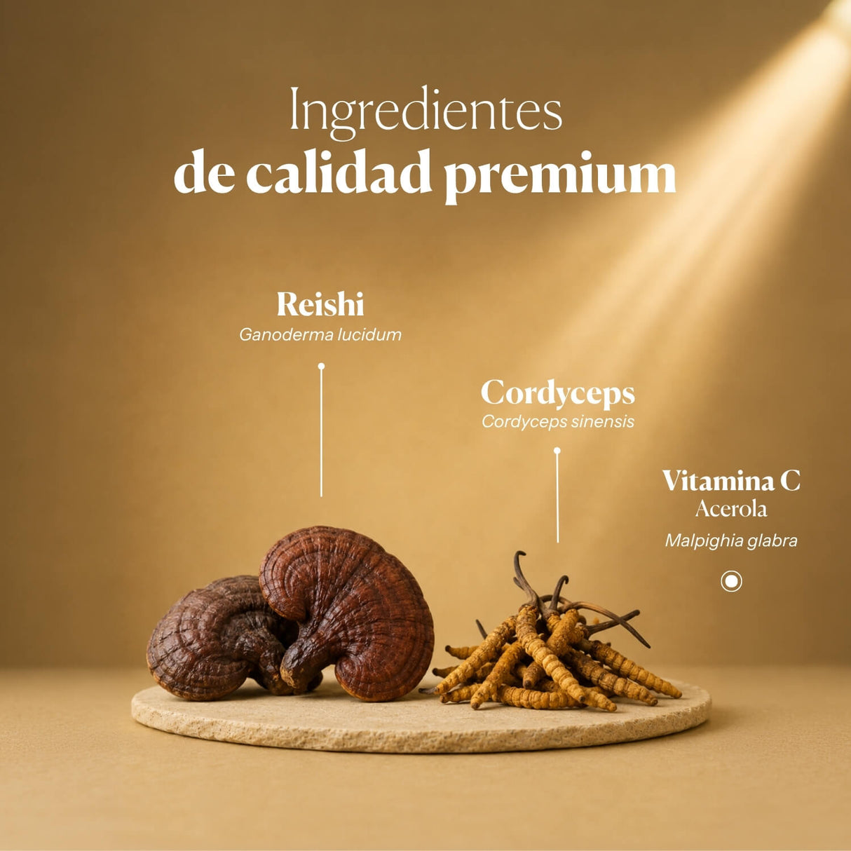 Mico Vir+ (Reishi and Cordyceps Extract) Capsules