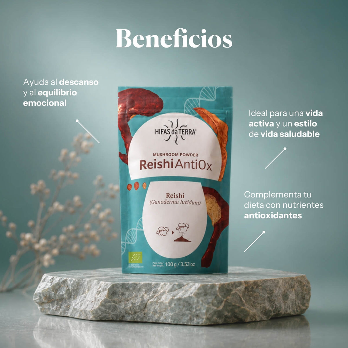 Reishi AntiOx Powder Superfood (Organic Reishi)
