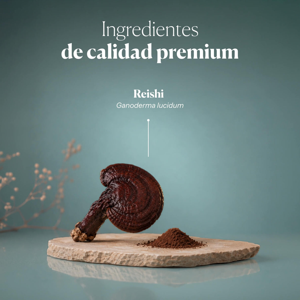 Reishi AntiOx Powder Superfood (Organic Reishi)
