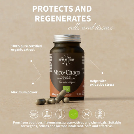 Mico-Chaga