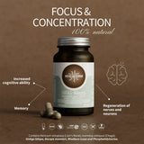 Hifas-Neuro Memory and Concentration