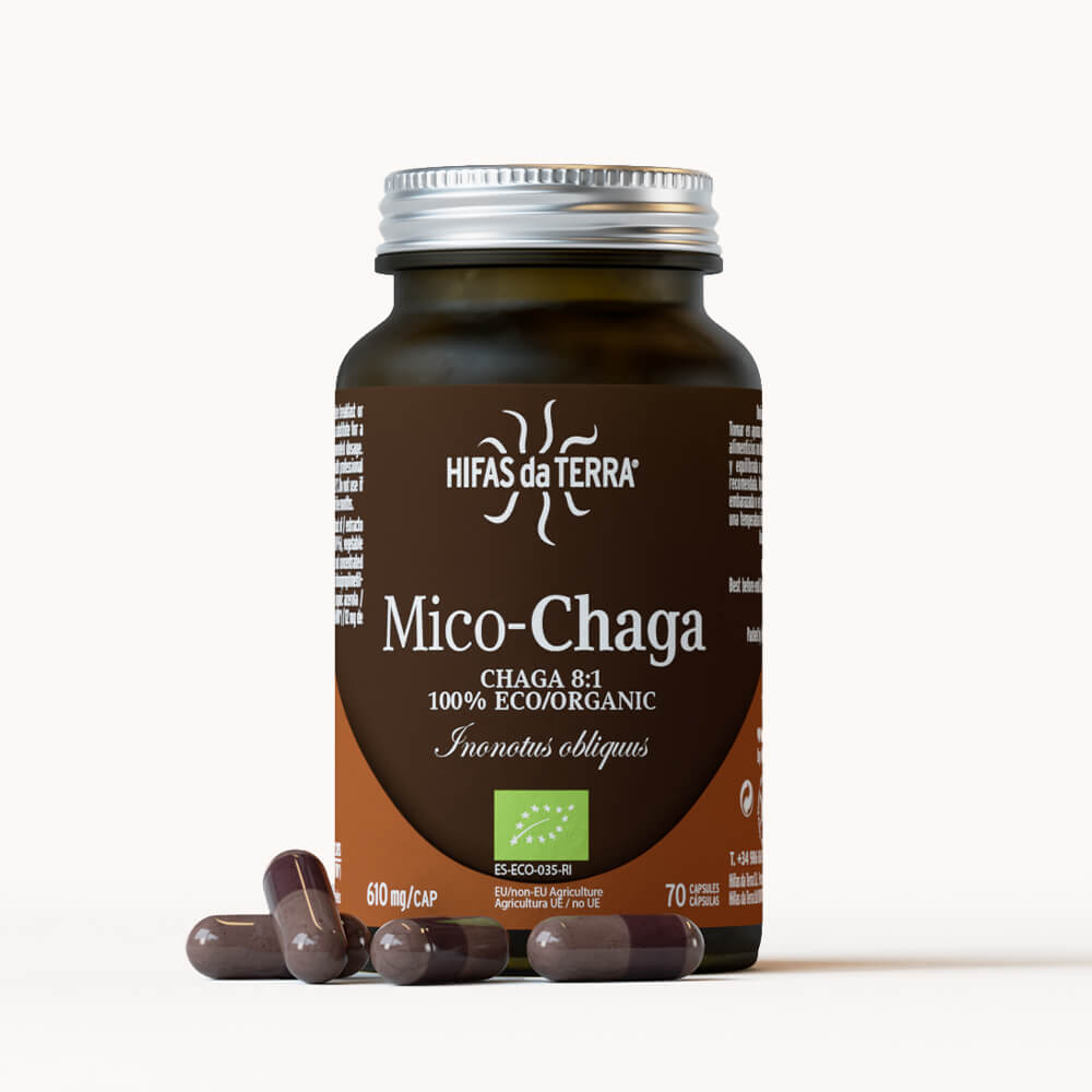 Mico-Chaga puro biologico