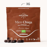 Mico-Chaga