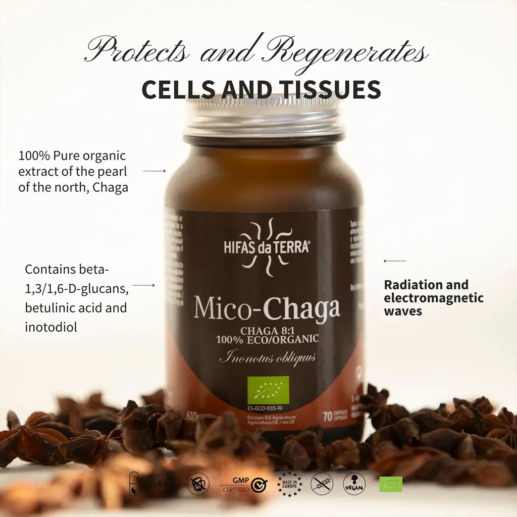 Mico-Chaga